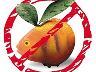Građanski otpor zatvorio vrata GMO-u