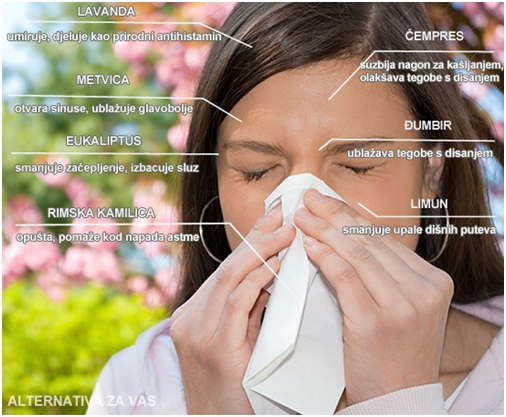 Top 7 eteričnih ulja protiv alergije