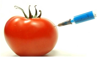 Genetički modificirana hrana