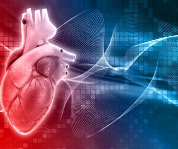 The Epigenetics and Cardiovascular Disease