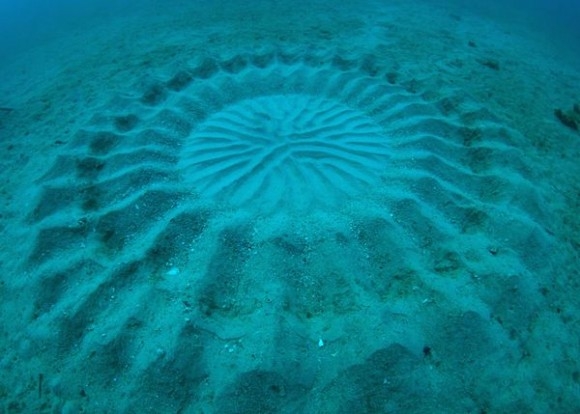 Krugovi pod vodom
