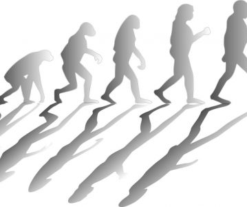 Teorija evolucije i religija