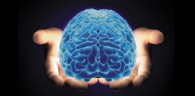 razvoj mozga tinejdžera