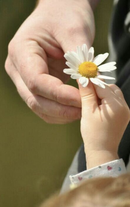 Poslanik i njegova  darezljivost i zaštita prema  djeci.