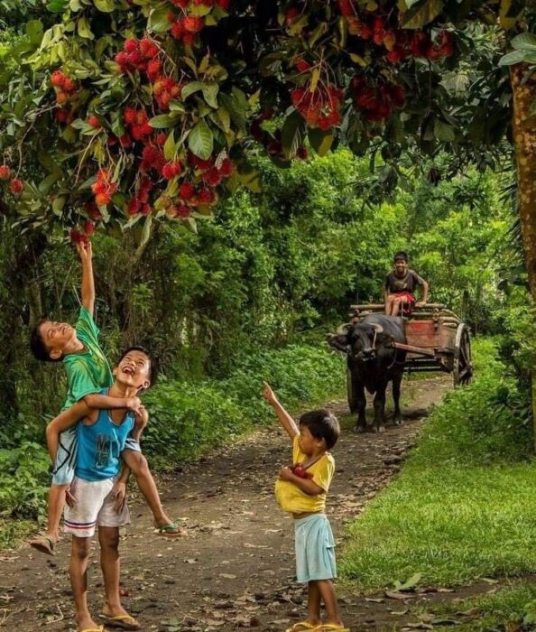 Poslanik savjetuje djecu da dobro brinu o biljjkama i životinjama iz životne sredine.