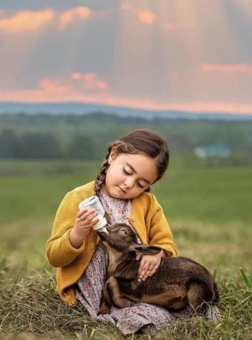 Ljudi koji posjeduju životinje bit će odgovorni na Sudnjem danu za njih