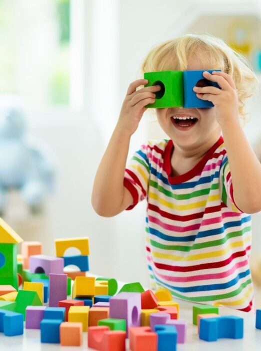 Razvoj djeteta se posmatra kroz pet međusobno povezanih razvojnih oblasti: socio-emocionalni razvoj, govor i komunikaciju, kognitivni razvoj, motorički razvoj i adaptivne (samopomoćne) vještine. Napredak u jednoj oblasti direktno utiče na ostale, pa se razvoj ne može posmatrati fragmentirano, već holistički.